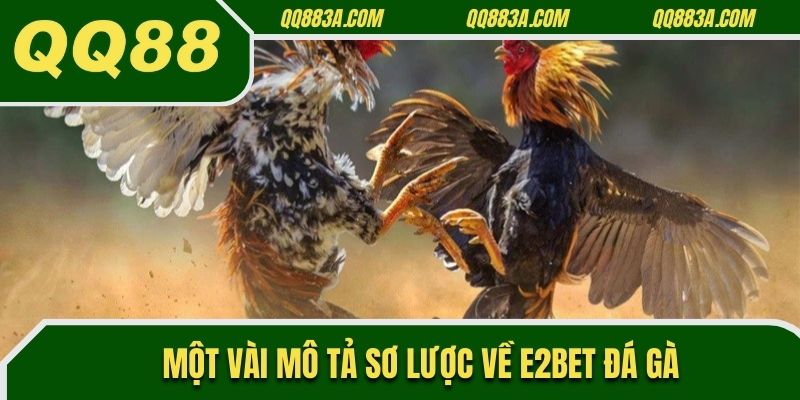 Một vài mô tả sơ lược về E2Bet đá gà